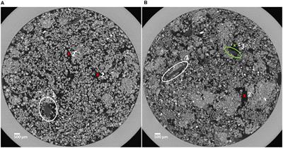 Nitrogen Limitations on Microbial Degradation of Plant Substrates Are Controlled by Soil Structure and Moisture Content